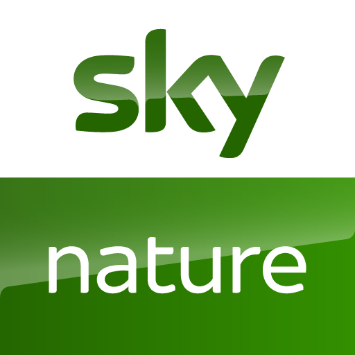 Sky Nature Alt De