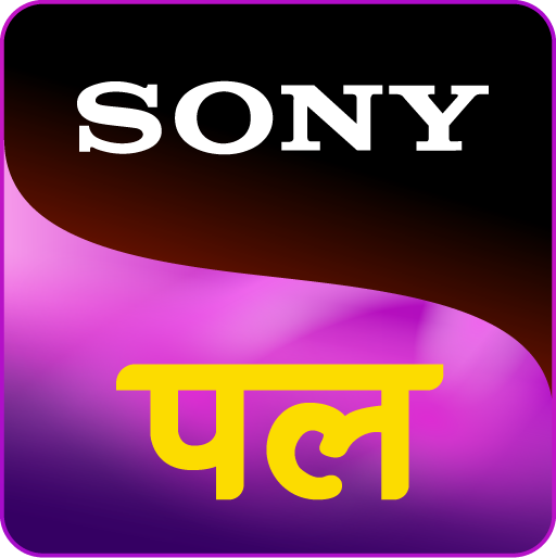 Sony Pal In