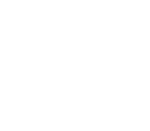 Canaledieci It