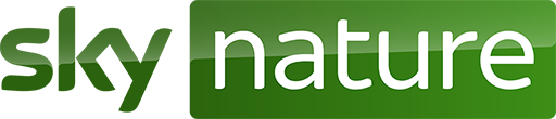 Sky Nature It