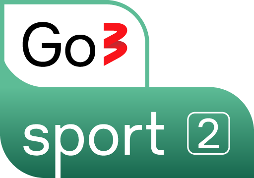 Go 3 Sport 2 Lt