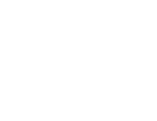 Bravo Plus Nz