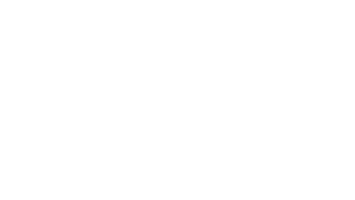 Amc Pt