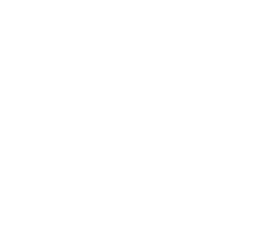 El Toro Tv Es